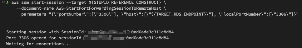 SSM port-forwarding session output