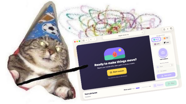 wizard cat